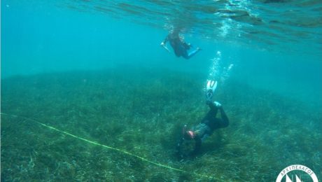 ^B3B1A9FC8D1997C991C70A1FD77F3594B170A9C7CD3AEECC2A^pimgpsh_fullsize_distr